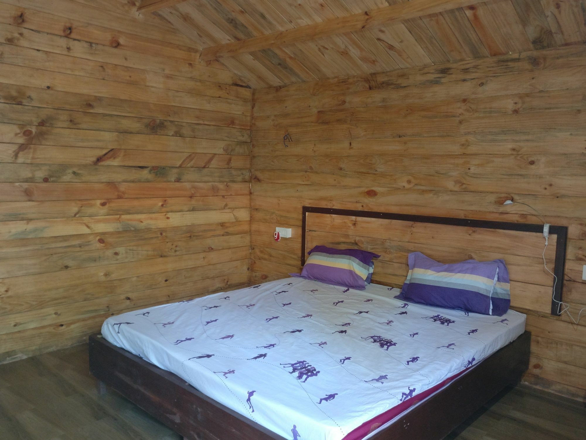 The Cool Huts Hotel Ashvem Beach Exterior photo